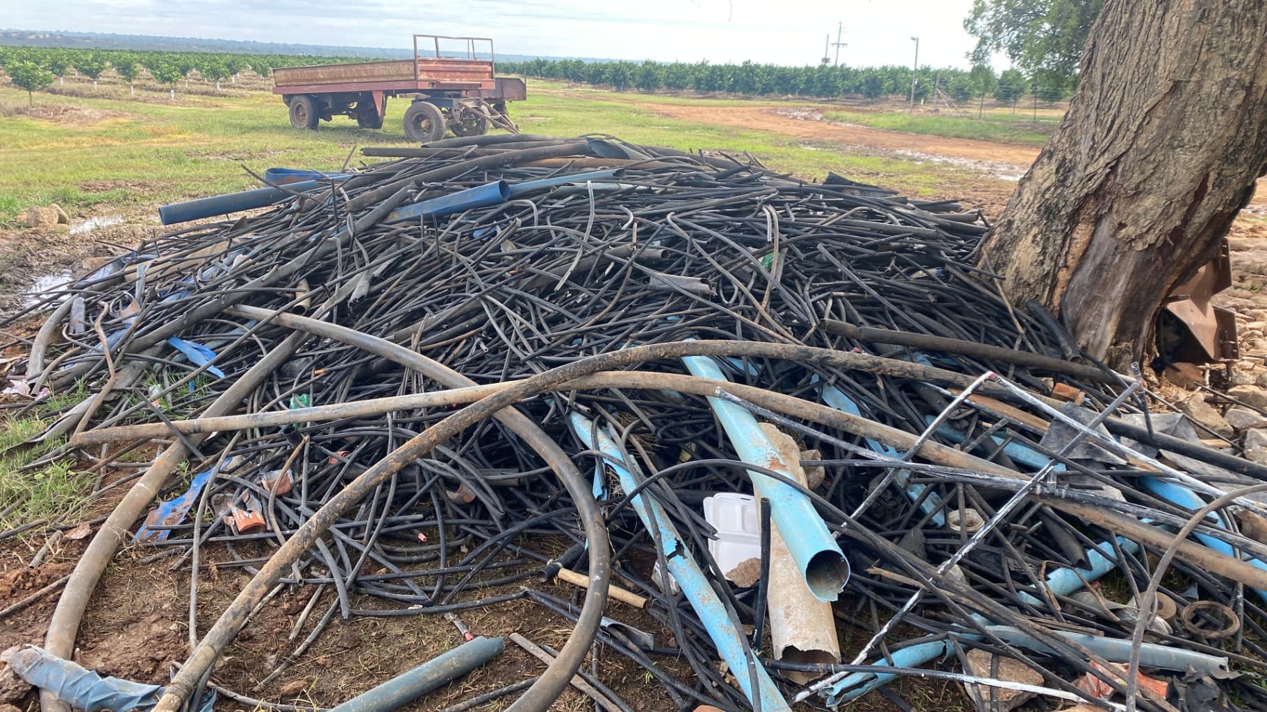 Old LD Pipes - image 2