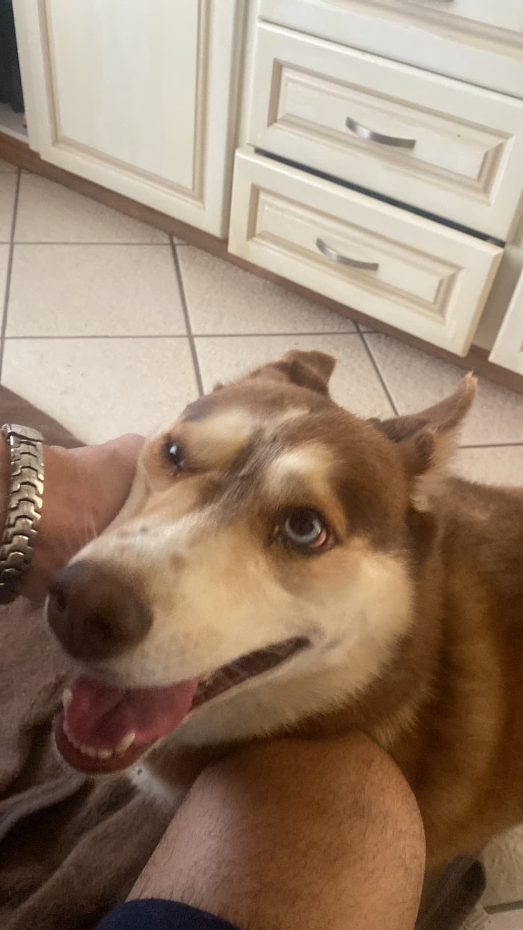 Just images to test the upload - image 2