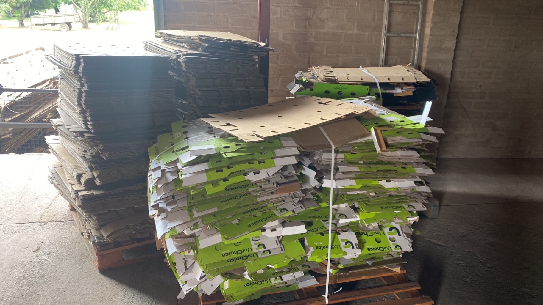 Just images to test the upload - image 4