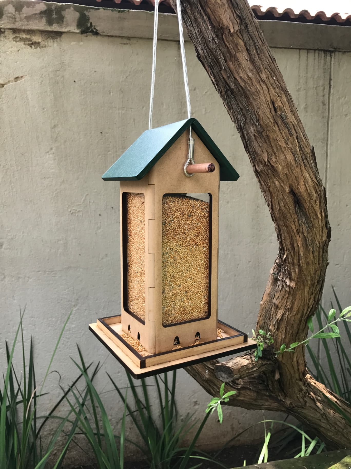 Bird Feeder