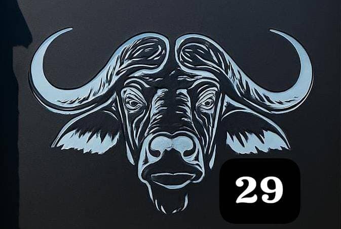 BUFFALO SIGN